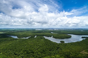 Brazilian Amazon River