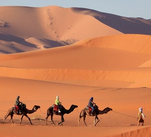 Three camels, being rode by people as one man guides them through the desert