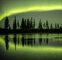 Lakeside trees with Northern Lights in the sky