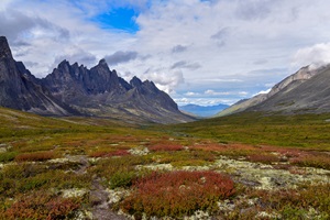 Field full of colourful wild flowers, surrounded by jagged mountains