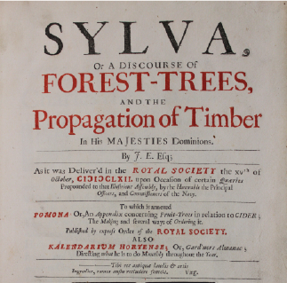 Book cover of Arborum Cura