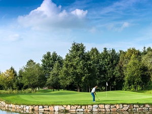 Male golfer on a lush golf green getting ready to make a putt