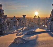 Snowy open space with the orange sun rising over snow covered pine trees